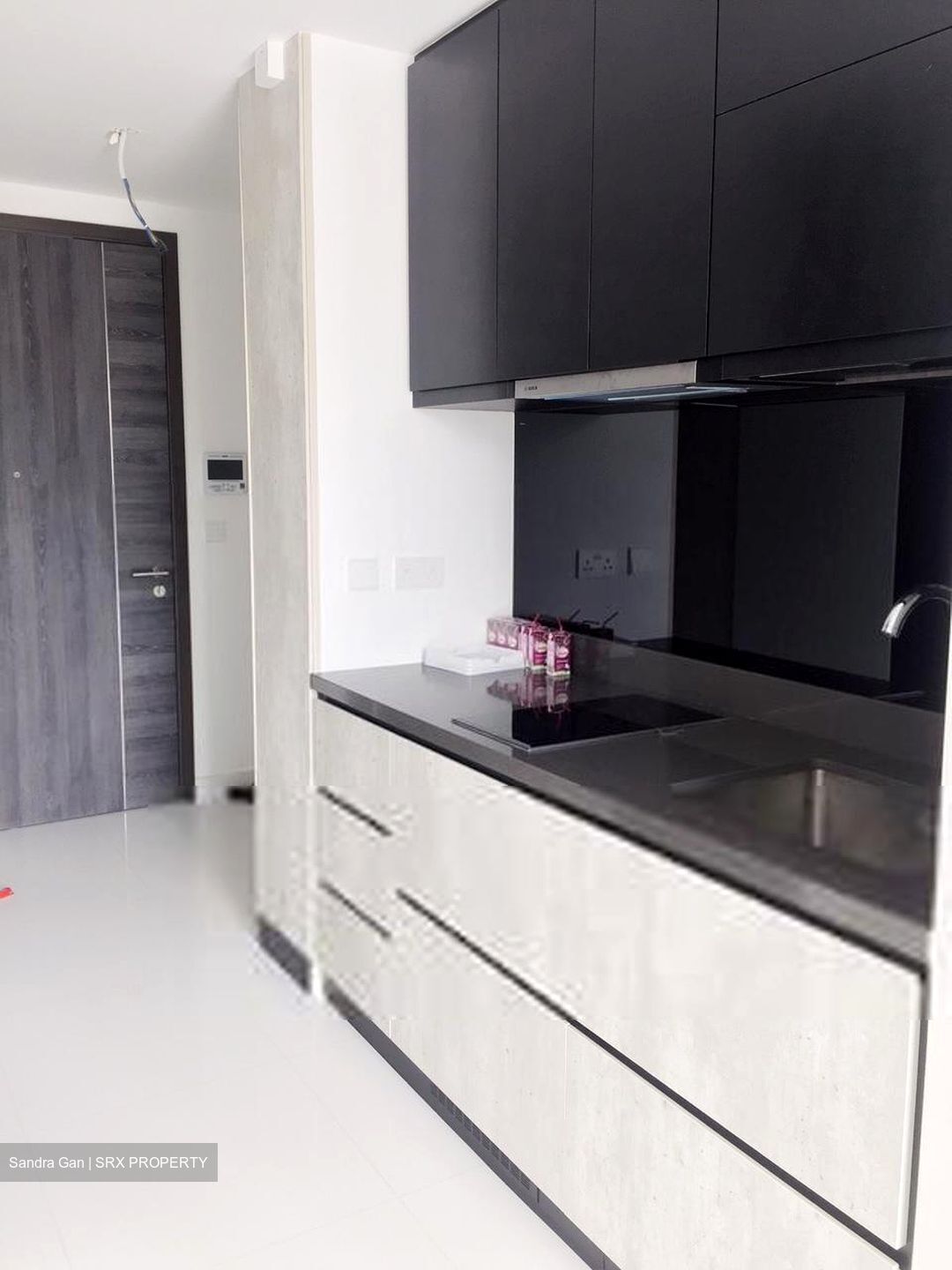 The Rise @ Oxley (D9), Condominium #577825271